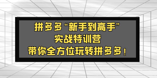 拼多多“新手到高手”实战特训营：带你全方位玩转拼多多！-云动网创-专注网络创业项目推广与实战，致力于打造一个高质量的网络创业搞钱圈子。