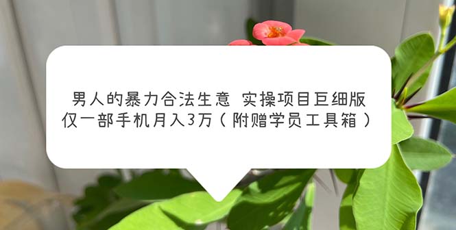 男人的暴力合法生意实操项目巨细版：仅一部手机月入3w（附赠学员工具箱）-云动网创-专注网络创业项目推广与实战，致力于打造一个高质量的网络创业搞钱圈子。