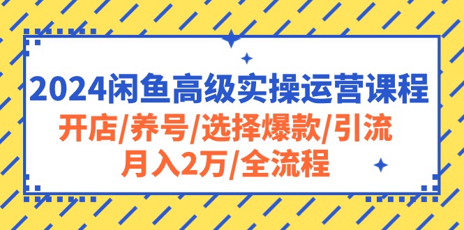 （10711期）2024闲鱼高级实操运营课程：开店/养号/选择爆款/引流/月入2万/全流程-云动网创-专注网络创业项目推广与实战，致力于打造一个高质量的网络创业搞钱圈子。