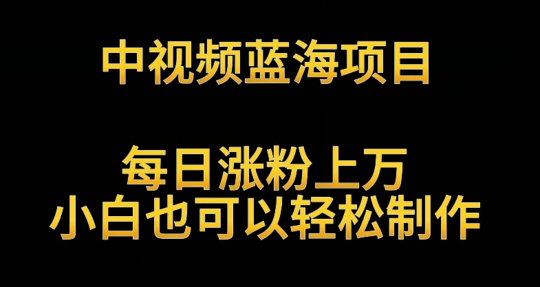 中视频蓝海项目，解读英雄人物生平，每日涨粉上万，小白也可以轻松制作，月入过万不是梦-云动网创-专注网络创业项目推广与实战，致力于打造一个高质量的网络创业搞钱圈子。