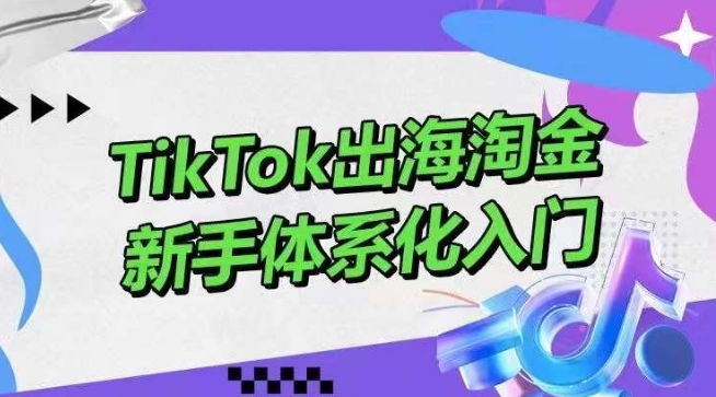 TikTok出海淘金，新手体系化入门，零基础快速入门，掌握短视频、直播带货等引流到变现的知识-云动网创-专注网络创业项目推广与实战，致力于打造一个高质量的网络创业搞钱圈子。