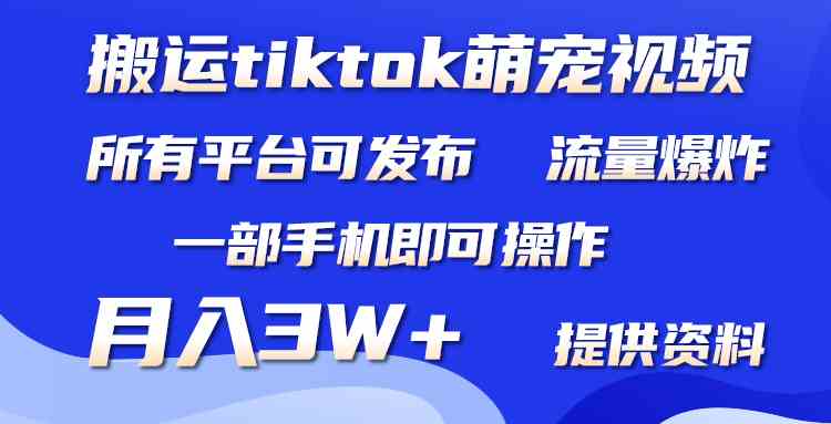 （9618期）搬运Tiktok萌宠类视频，一部手机即可。所有短视频平台均可操作，月入3W+-云动网创-专注网络创业项目推广与实战，致力于打造一个高质量的网络创业搞钱圈子。