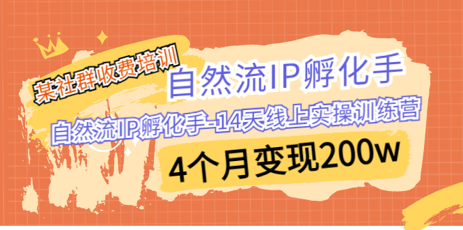 某社群收费培训：自然流IP 孵化手-14天线上实操训练营 4个月变现200w-云动网创-专注网络创业项目推广与实战，致力于打造一个高质量的网络创业搞钱圈子。