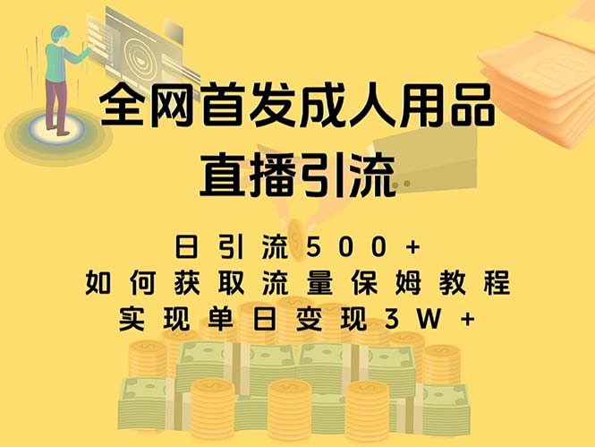 最新全网独创首发，成人用品直播引流获客暴力玩法，单日变现3w保姆级教程-云动网创-专注网络创业项目推广与实战，致力于打造一个高质量的网络创业搞钱圈子。