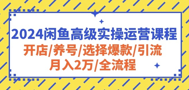 2024闲鱼高级实操运营课程：开店/养号/选择爆款/引流/月入2万/全流程-云动网创-专注网络创业项目推广与实战，致力于打造一个高质量的网络创业搞钱圈子。