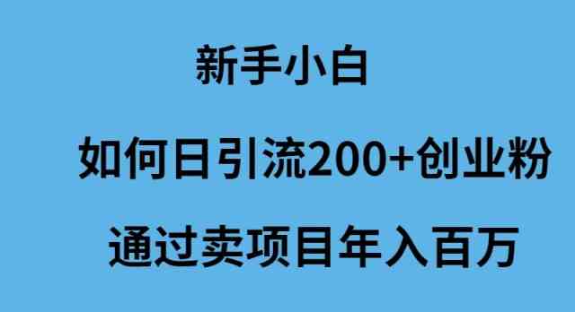 （9668期）新手小白如何日引流200+创业粉通过卖项目年入百万-云动网创-专注网络创业项目推广与实战，致力于打造一个高质量的网络创业搞钱圈子。