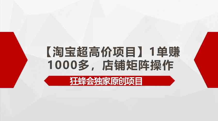 （9849期）【淘宝超高价项目】1单赚1000多，店铺矩阵操作-云动网创-专注网络创业项目推广与实战，致力于打造一个高质量的网络创业搞钱圈子。