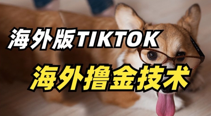 抖音海外版tiktok撸金技术，这个风口行业，赚钱真的不难-云动网创-专注网络创业项目推广与实战，致力于打造一个高质量的网络创业搞钱圈子。