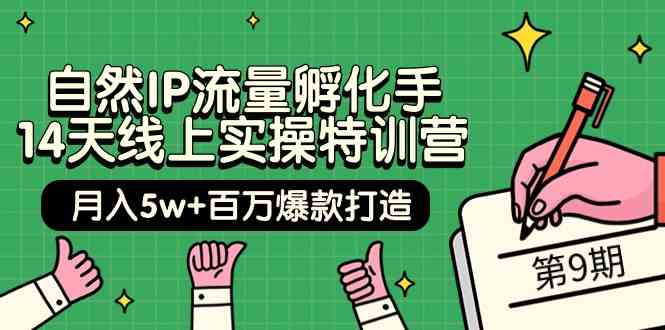 自然IP流量孵化手14天线上实操特训营【第9期】月入5w+百万爆款打造 (74节)-云动网创-专注网络创业项目推广与实战，致力于打造一个高质量的网络创业搞钱圈子。