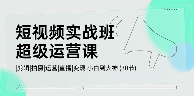 短视频实战班超级运营课 |剪辑|拍摄|运营|直播|变现 小白到大神 (30节)-云动网创-专注网络创业项目推广与实战，致力于打造一个高质量的网络创业搞钱圈子。