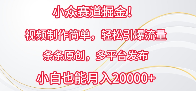 小众赛道掘金，视频制作简单，轻松引爆流量，条条原创，多平台发布-云动网创-专注网络创业项目推广与实战，致力于打造一个高质量的网络创业搞钱圈子。