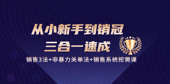 从小新手到销冠三合一速成：销售3法+非暴力关单法+销售系统挖需课 (27节)-云动网创-专注网络创业项目推广与实战，致力于打造一个高质量的网络创业搞钱圈子。