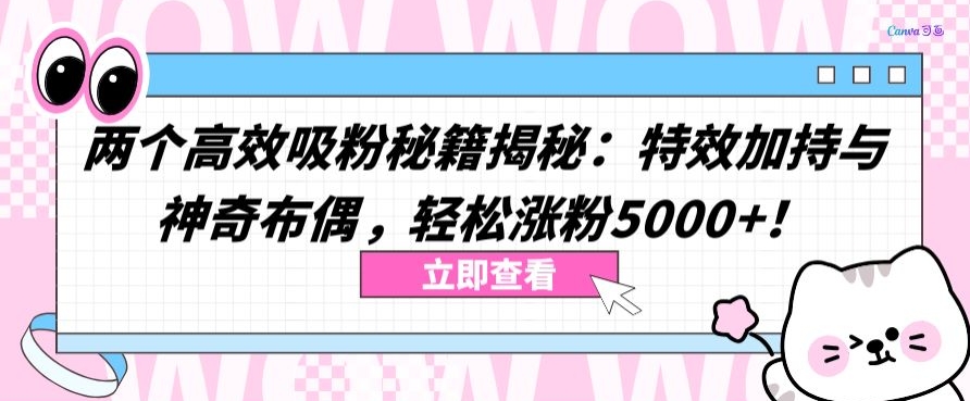 两个高效吸粉秘籍揭秘：特效加持与神奇布偶，轻松涨粉5000+-云动网创-专注网络创业项目推广与实战，致力于打造一个高质量的网络创业搞钱圈子。