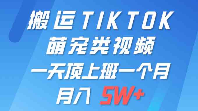 （9931期）一键搬运TIKTOK萌宠类视频 一部手机即可操作 所有平台均可发布 轻松月入5W+-云动网创-专注网络创业项目推广与实战，致力于打造一个高质量的网络创业搞钱圈子。