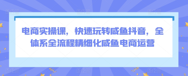 电商实操课，快速玩转咸鱼抖音，全体系全流程精细化咸鱼电商运营-云动网创-专注网络创业项目推广与实战，致力于打造一个高质量的网络创业搞钱圈子。