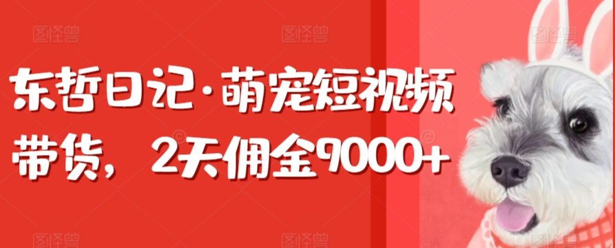 东哲日记·萌宠短视频带货，2天佣金9000+-云动网创-专注网络创业项目推广与实战，致力于打造一个高质量的网络创业搞钱圈子。