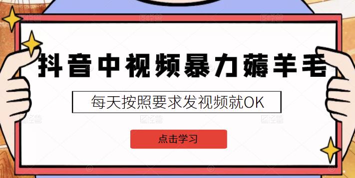 2022抖音中视频暴力薅羊毛白嫖项目：新号每天20块，老号几天几百块，可多号￼-云动网创-专注网络创业项目推广与实战，致力于打造一个高质量的网络创业搞钱圈子。