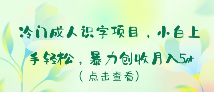 冷门成人识字项目，小白上手轻松，暴力创收月入5w+-云动网创-专注网络创业项目推广与实战，致力于打造一个高质量的网络创业搞钱圈子。