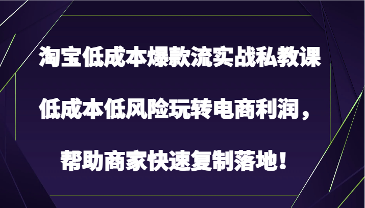 淘宝低成本爆款流实战私教课，低成本低风险玩转电商利润，帮助商家快速复制落地！-云动网创-专注网络创业项目推广与实战，致力于打造一个高质量的网络创业搞钱圈子。