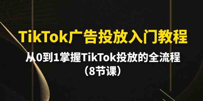 TikTok广告投放入门教程，从0到1掌握TikTok投放的全流程（8节课）-云动网创-专注网络创业项目推广与实战，致力于打造一个高质量的网络创业搞钱圈子。