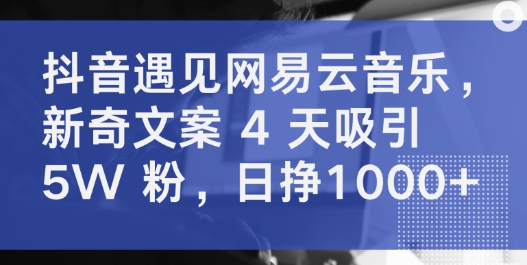 抖音遇见网易云音乐，新奇文案 4 天吸引 5W 粉，日挣1000+-云动网创-专注网络创业项目推广与实战，致力于打造一个高质量的网络创业搞钱圈子。