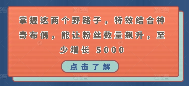掌握这两个野路子，特效结合神奇布偶，能让粉丝数量飙升，至少增长 5000-云动网创-专注网络创业项目推广与实战，致力于打造一个高质量的网络创业搞钱圈子。