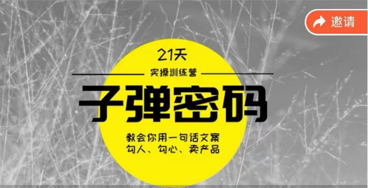 《子弹密码训练营》用一句话文案勾人勾心卖产品，21天学到顶尖文案大师策略和技巧-云动网创-专注网络创业项目推广与实战，致力于打造一个高质量的网络创业搞钱圈子。