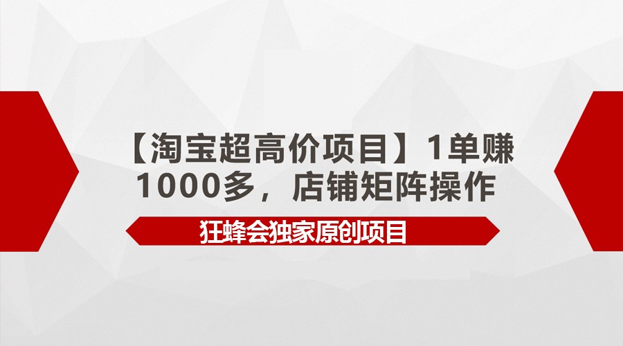 【淘宝超高价项目】1单赚1000多，店铺矩阵操作-云动网创-专注网络创业项目推广与实战，致力于打造一个高质量的网络创业搞钱圈子。