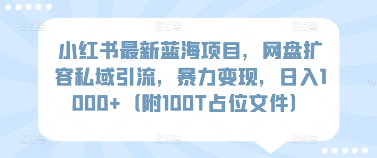 小红书最新蓝海项目，网盘扩容私域引流，暴力变现，日入1000+（附100T占位文件）-云动网创-专注网络创业项目推广与实战，致力于打造一个高质量的网络创业搞钱圈子。