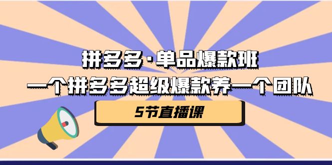 拼多多·单品爆款班，一个拼多多超级爆款养一个团队（5节直播课）-云动网创-专注网络创业项目推广与实战，致力于打造一个高质量的网络创业搞钱圈子。