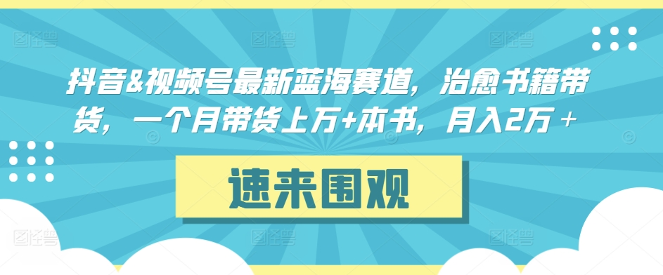 抖音&视频号最新蓝海赛道，治愈书籍带货，一个月带货上万+本书，月入2万＋-云动网创-专注网络创业项目推广与实战，致力于打造一个高质量的网络创业搞钱圈子。