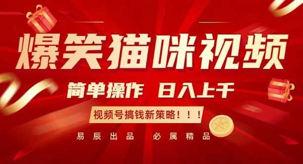 爆笑猫咪视频：简单操作，日入过K，视频号搞钱新策略【揭秘】-云动网创-专注网络创业项目推广与实战，致力于打造一个高质量的网络创业搞钱圈子。