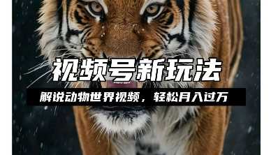 利用动物世界解说视频，赚分成计划收益，轻松月入过W，操作简单【揭秘】-云动网创-专注网络创业项目推广与实战，致力于打造一个高质量的网络创业搞钱圈子。