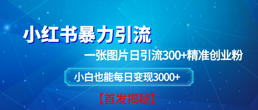 小红书暴力引流法，一张图片日引 300+精准创业粉，每日稳定变现 3000+【揭秘】-云动网创-专注网络创业项目推广与实战，致力于打造一个高质量的网络创业搞钱圈子。