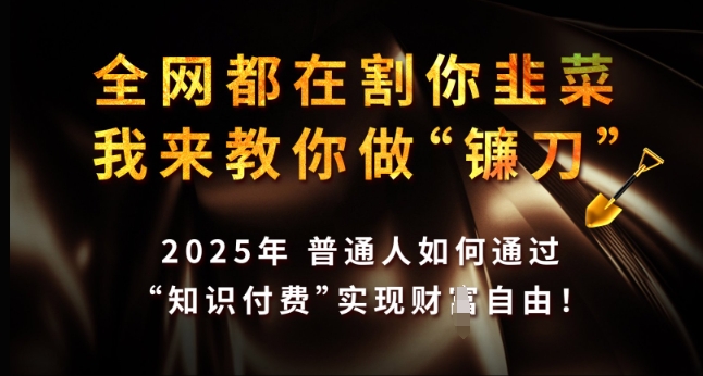 全网都在割你韭菜，我来教你做镰刀，2025年普通人如何通过 知识付费 实现财F自由【揭秘】-云动网创-专注网络创业项目推广与实战，致力于打造一个高质量的网络创业搞钱圈子。