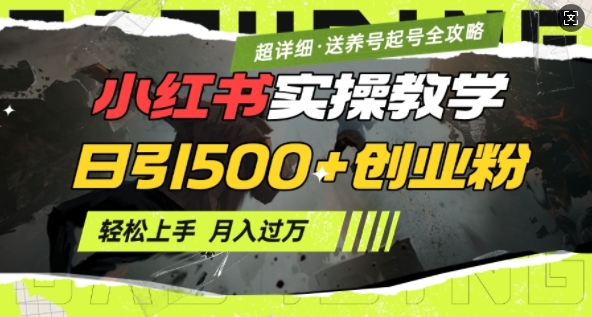 2月小红书最新日引500+创业粉实操教学【超详细】小白轻松上手，月入1W+，附小红书养号起号SOP-云动网创-专注网络创业项目推广与实战，致力于打造一个高质量的网络创业搞钱圈子。