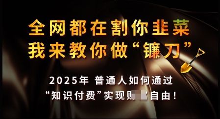 知识付费如何做到月入过W+，2025我来教你做“镰刀”【揭秘】-云动网创-专注网络创业项目推广与实战，致力于打造一个高质量的网络创业搞钱圈子。