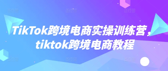 TikTok跨境电商实操训练营，tiktok跨境电商教程-云动网创-专注网络创业项目推广与实战，致力于打造一个高质量的网络创业搞钱圈子。