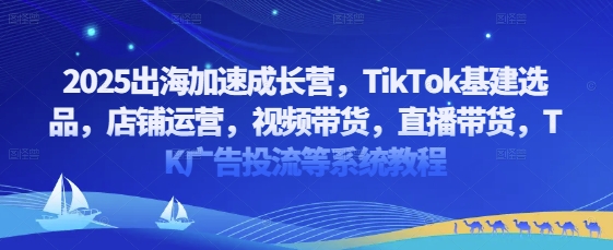 2025出海加速成长营，TikTok基建选品，店铺运营，视频带货，直播带货，TK广告投流等系统教程-云动网创-专注网络创业项目推广与实战，致力于打造一个高质量的网络创业搞钱圈子。