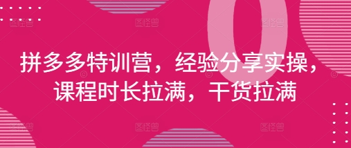 拼多多特训营，经验分享实操，课程时长拉满，干货拉满(更新25年4月)-云动网创-专注网络创业项目推广与实战，致力于打造一个高质量的网络创业搞钱圈子。