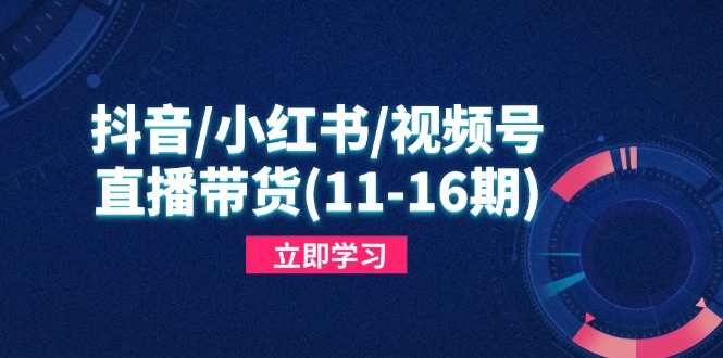 抖音/小红书/视频号/直播带货(11-16期-云动网创-专注网络创业项目推广与实战，致力于打造一个高质量的网络创业搞钱圈子。