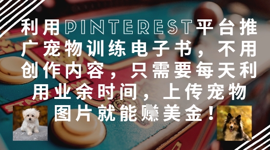利用Pinterest平台推广宠物训练电子书，不用创作内容，只需要每天利用业余时间，上传宠物图片就能挣美金!-云动网创-专注网络创业项目推广与实战，致力于打造一个高质量的网络创业搞钱圈子。