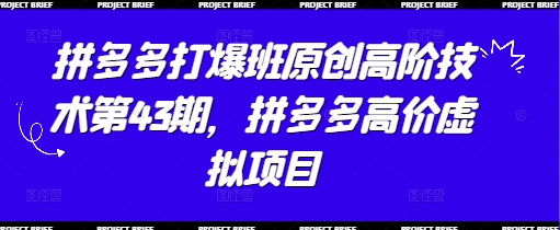 拼多多打爆班原创高阶技术第43期，拼多多高价虚拟项目-云动网创-专注网络创业项目推广与实战，致力于打造一个高质量的网络创业搞钱圈子。