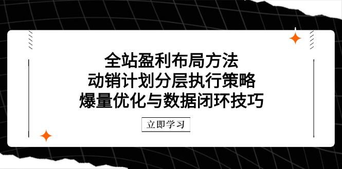 全站盈利布局方法：动销计划分层执行策略，爆量优化与数据闭环技巧-云动网创-专注网络创业项目推广与实战，致力于打造一个高质量的网络创业搞钱圈子。