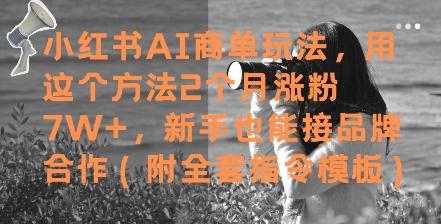 小红书AI商单玩法，用这个方法2个月涨粉7W+，新手也能接品牌合作(附全套指令模板)-云动网创-专注网络创业项目推广与实战，致力于打造一个高质量的网络创业搞钱圈子。