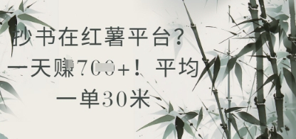 抄书在小红薯平台？平均一单30米，一天收益几张！-云动网创-专注网络创业项目推广与实战，致力于打造一个高质量的网络创业搞钱圈子。