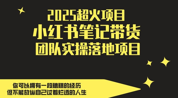 2025超火项目，副业最佳选择，小红书笔记带货团队实操落地项目，，轻松日入5张-云动网创-专注网络创业项目推广与实战，致力于打造一个高质量的网络创业搞钱圈子。