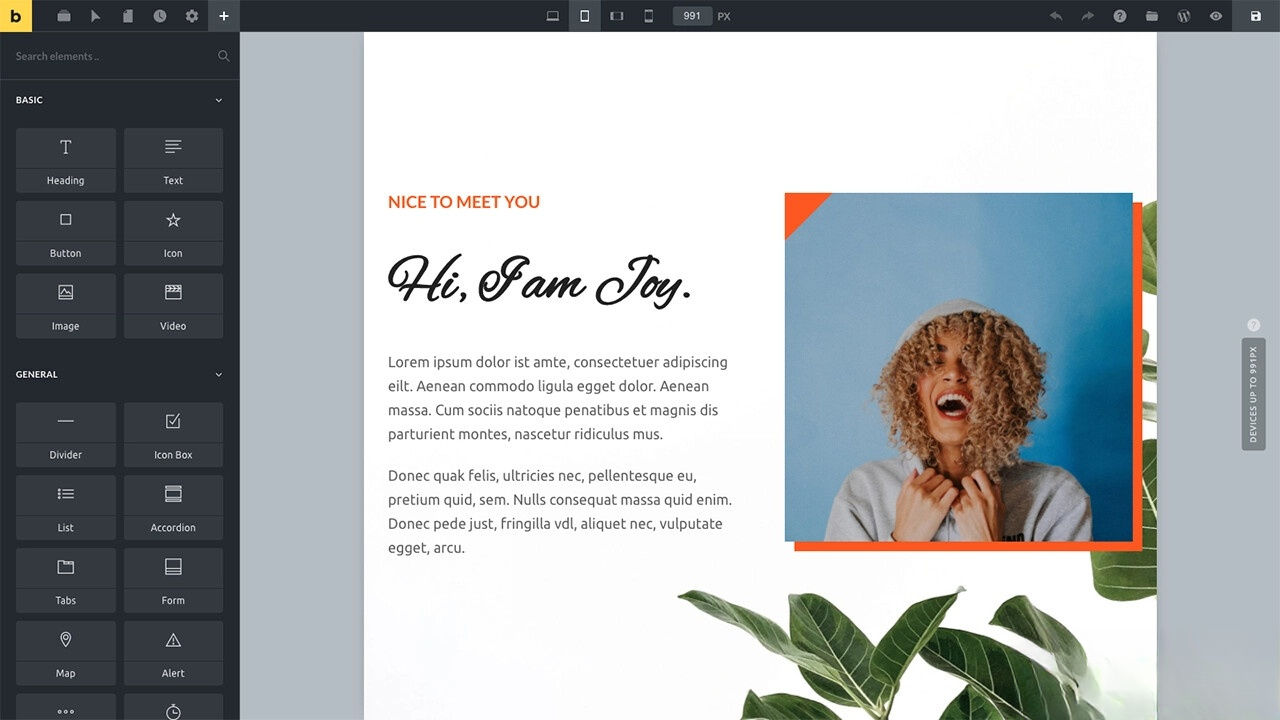 WordPress主题Bricks v1.9 破解版-云动网创-专注网络创业项目推广与实战，致力于打造一个高质量的网络创业搞钱圈子。
