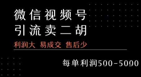 视频号卖二胡教程，利润大 易成交 售后少，一单利润5张+-云动网创-专注网络创业项目推广与实战，致力于打造一个高质量的网络创业搞钱圈子。