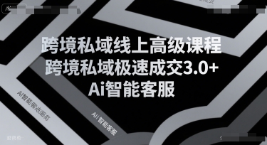 跨境私域线上高级课程，跨境私域极速成交3.0+Ai智能客服-云动网创-专注网络创业项目推广与实战，致力于打造一个高质量的网络创业搞钱圈子。